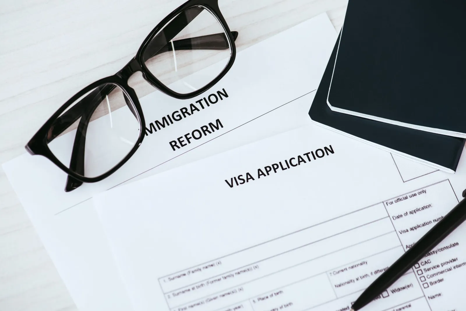 Visa and Work Permit Advice